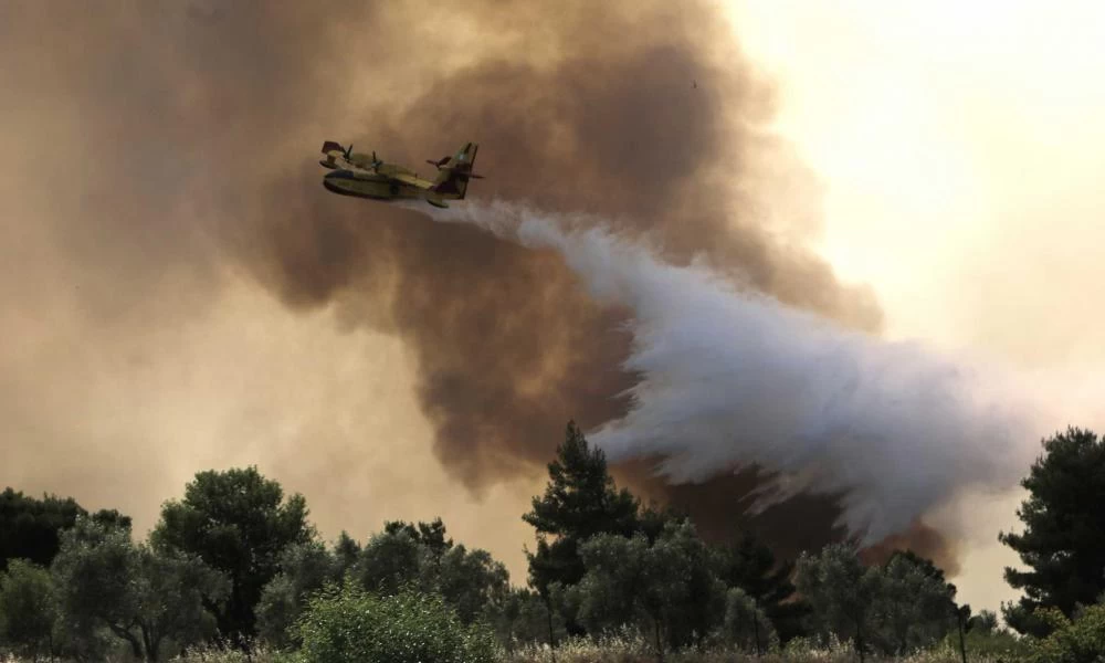 Φωτιά και στις Σέρρες – Πυροσβέστες παλεύουν σκληρά με τις φλόγες